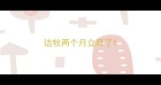 边牧两个月立耳了