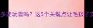 拉布拉多能玩雪吗这5个关键点让毛孩子安全过冬