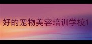 好的宠物美容培训学校
