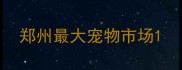 郑州最大宠物市场