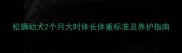 松狮幼犬2个月大时体长体重标准及养护指南