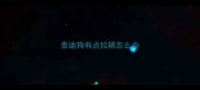 泰迪狗有点拉稀怎么办