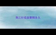 狗三针疫苗要隔多久