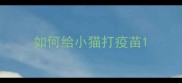 如何給小猫打疫苗