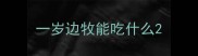 一岁边牧能吃什么