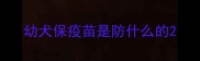 幼犬保疫苗是防什么的