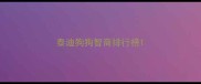 泰迪狗狗智商排行榜