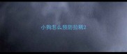 小狗怎么预防拉稀