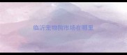 临沂宠物狗市场在哪里