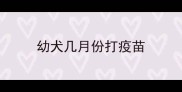 幼犬几月份打疫苗