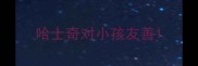哈士奇对小孩友善