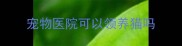 宠物医院可以领养猫吗