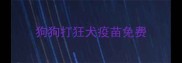 狗狗打狂犬疫苗免费