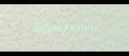 河南拉布拉多犬舍排行