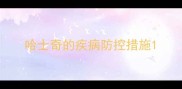 哈士奇的疾病防控措施