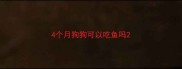 4个月狗狗可以吃鱼吗