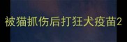 被猫抓伤后打狂犬疫苗