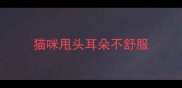 猫咪甩头耳朵不舒服