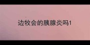 边牧会的胰腺炎吗