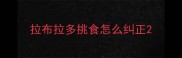 拉布拉多挑食怎么纠正