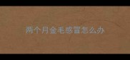 两个月金毛感冒怎么办