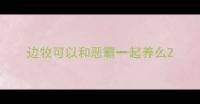 边牧可以和恶霸一起养么