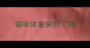 猫咪体重突然下降
