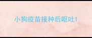 小狗疫苗接种后呕吐