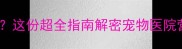 狗狗晚上能打疫苗吗这份超全指南解密宠物医院营业时间与接种细节
