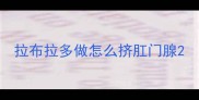 拉布拉多做怎么挤肛门腺