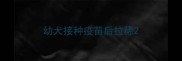 幼犬接种疫苗后拉稀