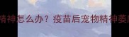 打完疫苗狗狗没精神怎么办疫苗后宠物精神萎靡的7大应对指南