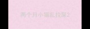 两个月小猫乱拉屎