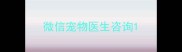 微信宠物医生咨询