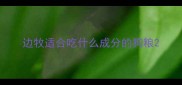 边牧适合吃什么成分的狗粮