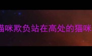 猫咪欺负站在高处的猫咪