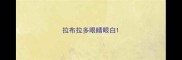 拉布拉多眼睛眼白
