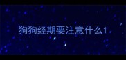 狗狗经期要注意什么
