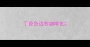 丁香色边牧咖啡色