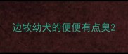 边牧幼犬的便便有点臭
