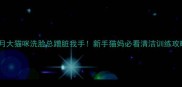 2月大猫咪洗脸总蹭脏我手新手猫妈必看清洁训练攻略
