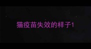 猫疫苗失效的样子