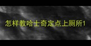怎样教哈士奇定点上厕所