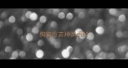 狗狗疫苗种类百科