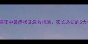 三个月大猫咪中暑症状及急救措施家长必知的5大处理方法