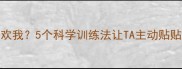 拉布拉多不喜欢我5个科学训练法让TA主动贴贴附真实案例