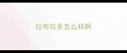 拉布拉多怎么样啊