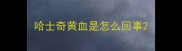 哈士奇黄血是怎么回事