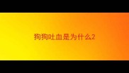 狗狗吐血是为什么