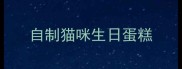 自制猫咪生日蛋糕